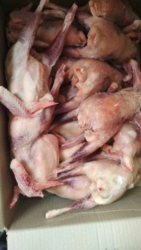 курица несушка 2 сорт в Екатеринбурге
