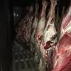  мясо молодых бычков (Ирбит ) в Екатеринбурге 5