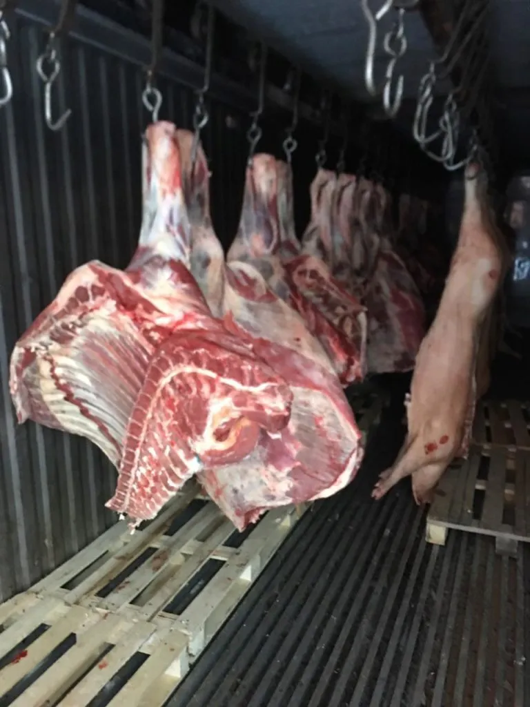  мясо молодых бычков (Ирбит ) в Екатеринбурге 3
