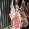  мясо молодых бычков (Ирбит ) в Екатеринбурге 2