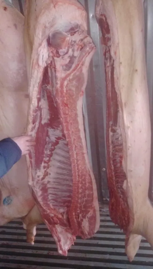  мясо свинины в полутушах 1-2 категория  в Екатеринбурге 4