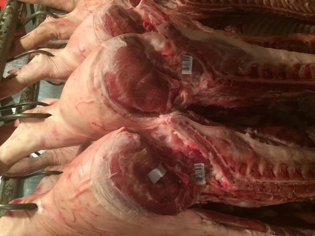  мясо свинины в полутушах 1-2 категория  в Екатеринбурге 2