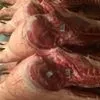  мясо свинины в полутушах 1-2 категория  в Екатеринбурге 2