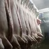  мясо свинины в полутушах 1-2 категория  в Екатеринбурге
