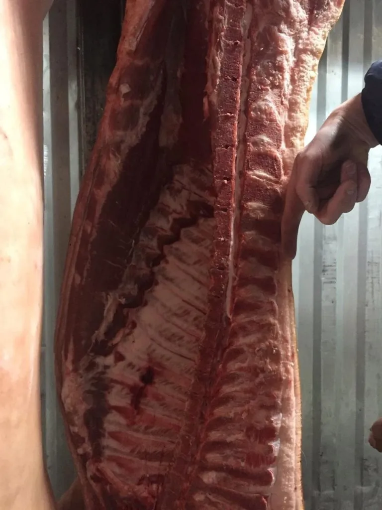  мясо свинины в полутушах 1-2 категория  в Екатеринбурге 3
