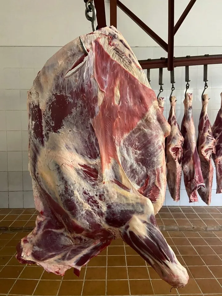 мясо быков от производителя 280 р/кг в Екатеринбурге