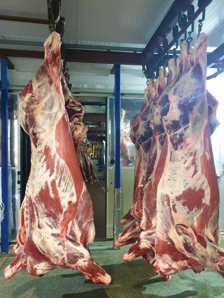 мясо говядина оптом  в Екатеринбурге