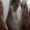 мясо быков, коров в Екатеринбурге