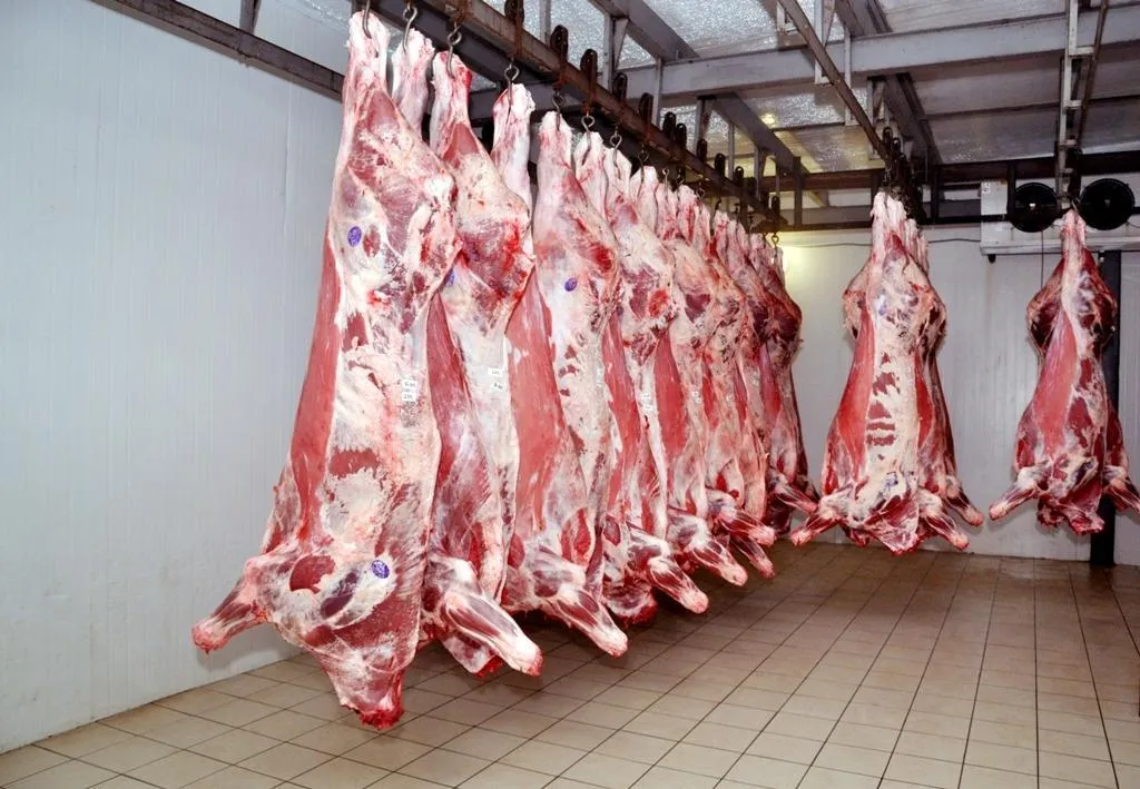 мясо говядина в полутушах оптом  в Екатеринбурге