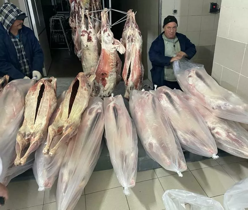 мясо баранины в тушах глубокой заморозки в Екатеринбурге и Свердловской области