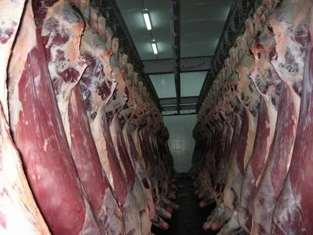 фотография продукта Свинина, говядина,оптом в полутушах