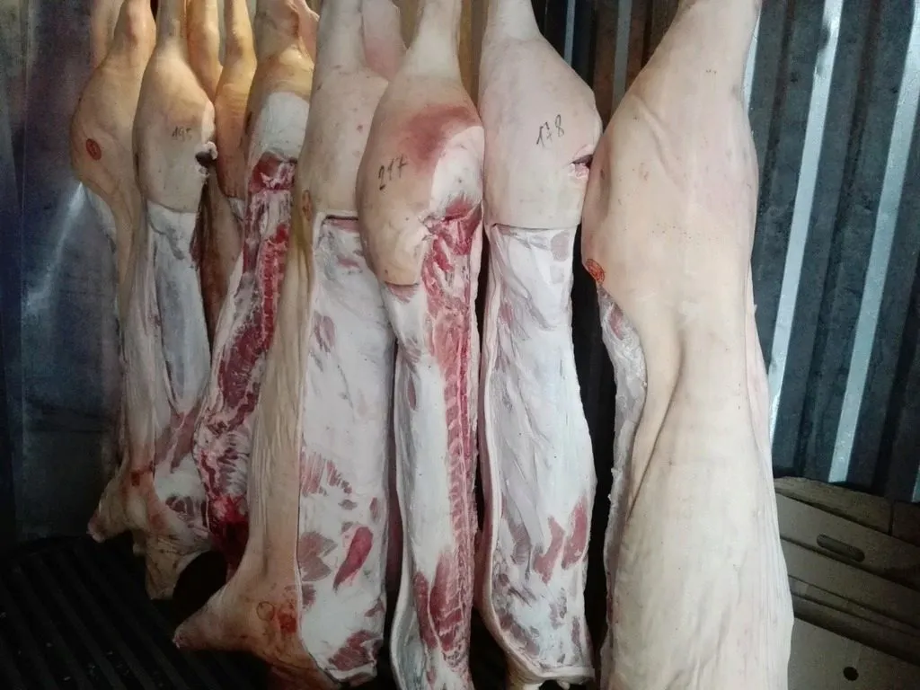 Фотография продукта Свинина  в полутушах. 179 р/кг