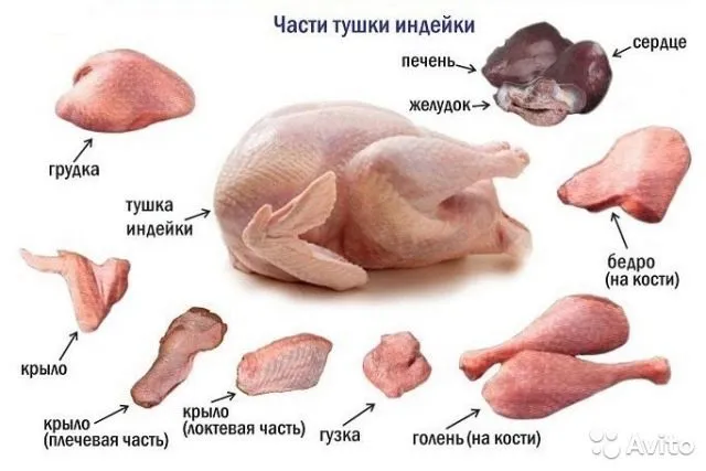 мясо индейки в ассортименте. в Екатеринбурге 3