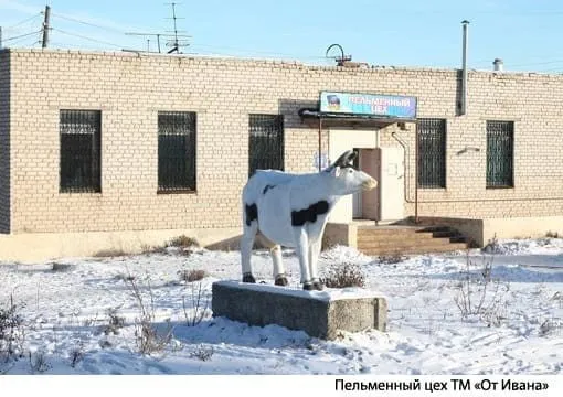 полуфабрикаты (пельмени, котлеты, манты) в Челябинске 2