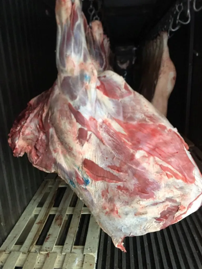 фотография продукта продам мясо молодых бычков (Ирбит )