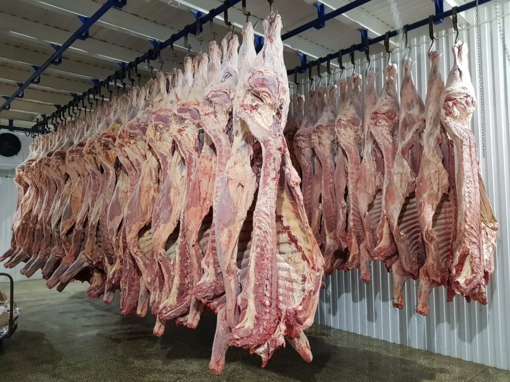 Фотография продукта Мясо гов, 315 руб.,молодняк, полутуши.