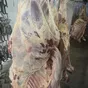 говядина заморозка оптом 230 руб в Екатеринбурге