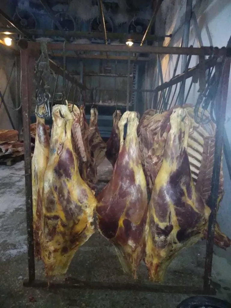 мясо говядина, опт в Екатеринбурге