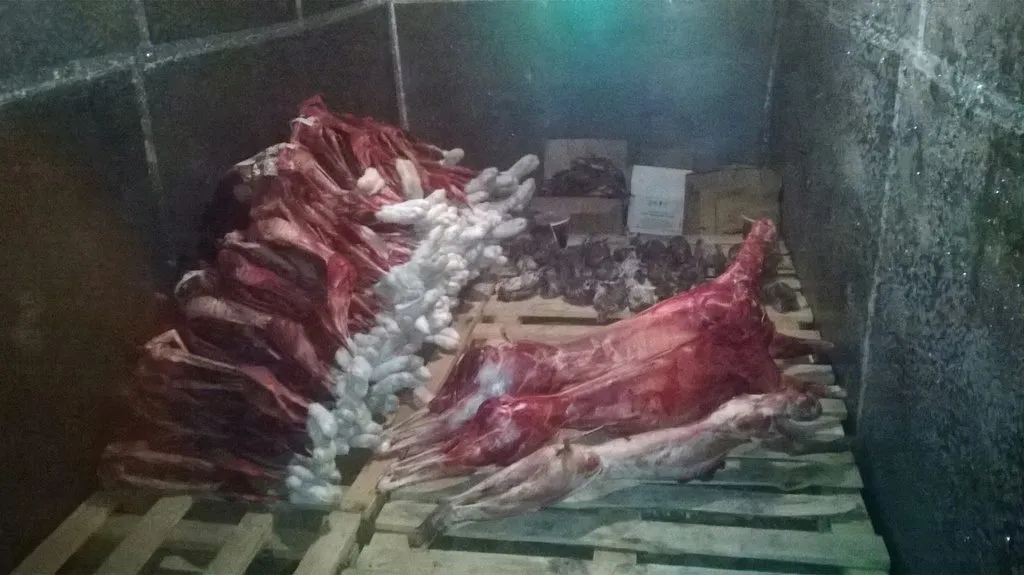 фотография продукта Мясо косули, косулятина 800 руб/кг