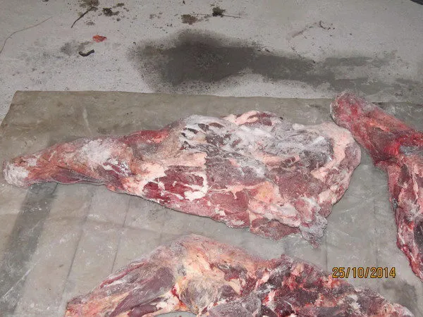 фотография продукта Медвежатина, мясо медведя в/у 1100 р/кг