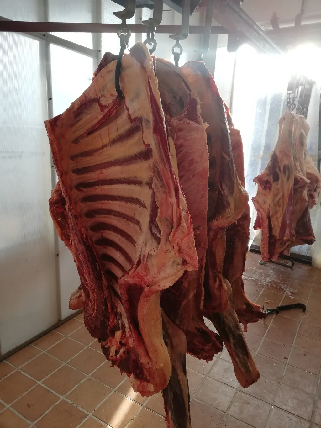 мясо быков, коров в Екатеринбурге 2