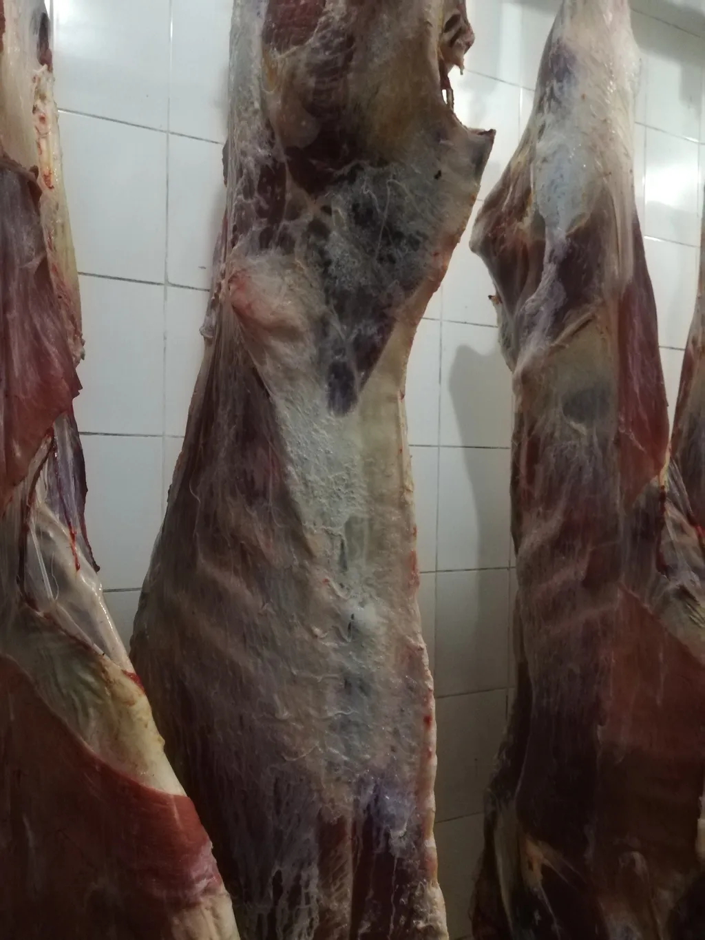 мясо быков, коров в Екатеринбурге