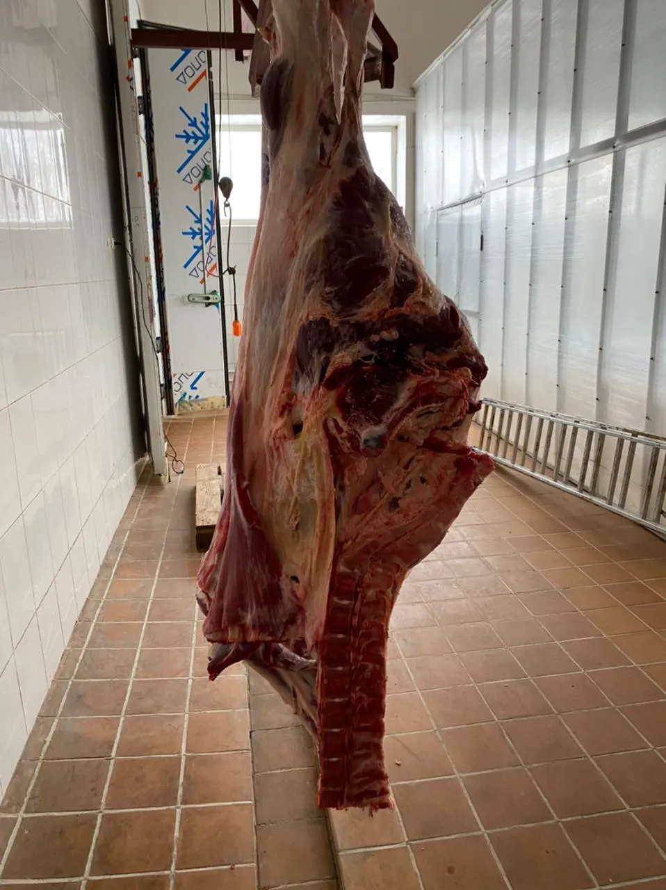 мясо быков, коров в Екатеринбурге 3