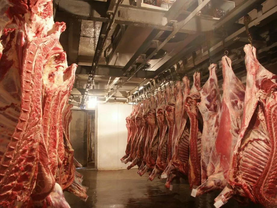 фотография продукта Мясо говядины в промпереработку