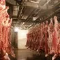 мясо говядины в промпереработку в Екатеринбурге