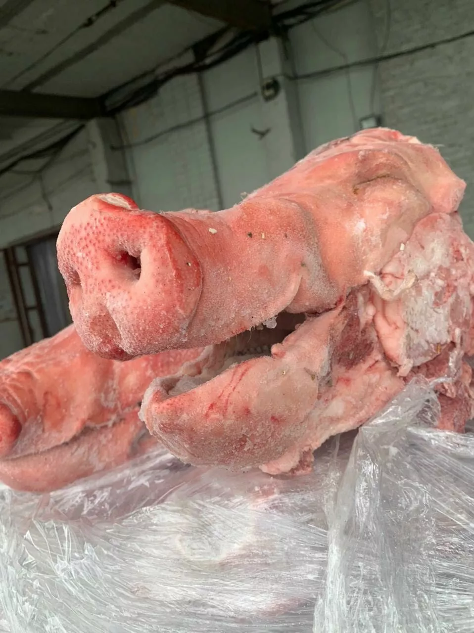 фотография продукта Головы свиные ограбленные 3 компартмент