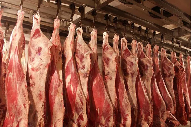 Фотография продукта Мясо баранины тушами из Монголии