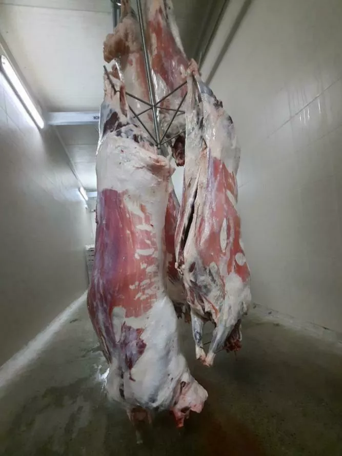 мясо баранины в тушах глубокой заморозки в Екатеринбурге и Свердловской области 2